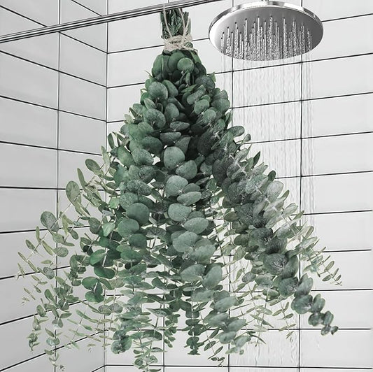 20 PCS Real Dried Eucalyptus Branches Decorative Natural Fresh Eucalyptus Plant for Shower Hanging Decor