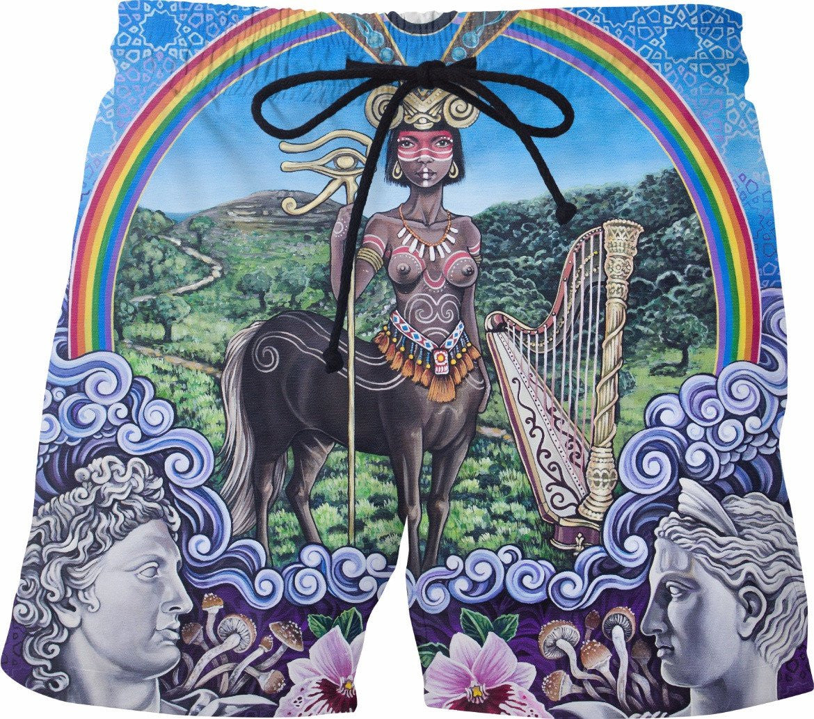 the centaur - Swim Shorts