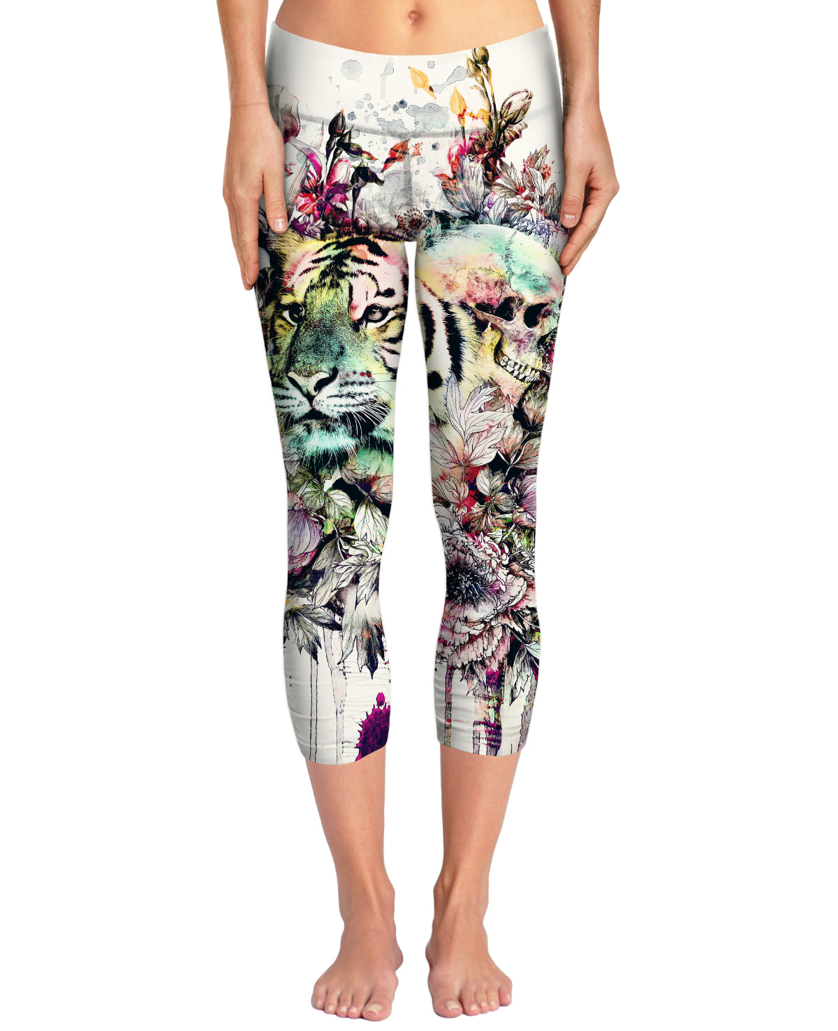 Interpretation of a dream - Tiger