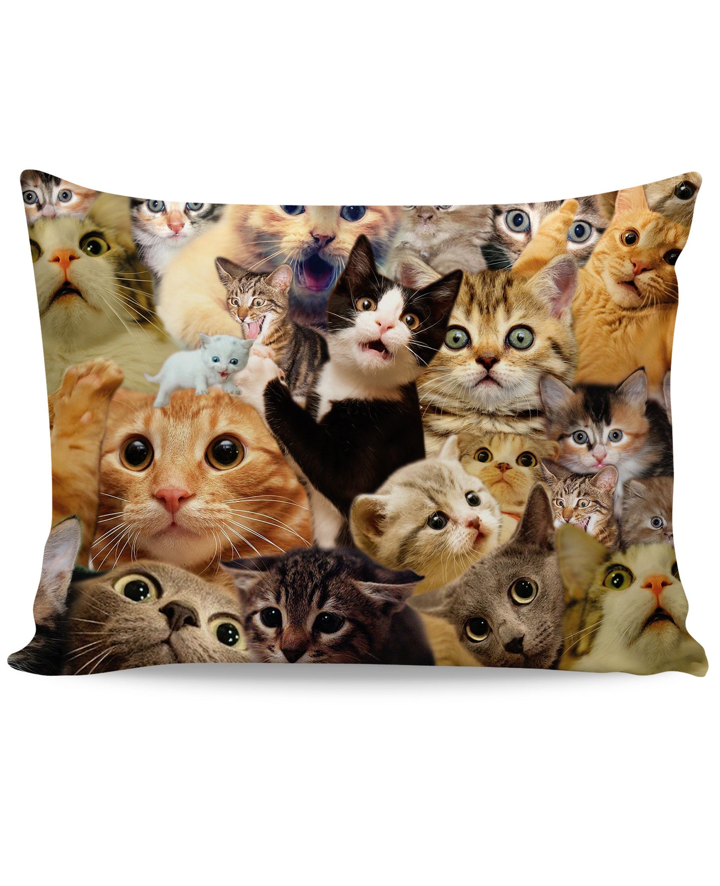 Surprised Cats Pillow Case