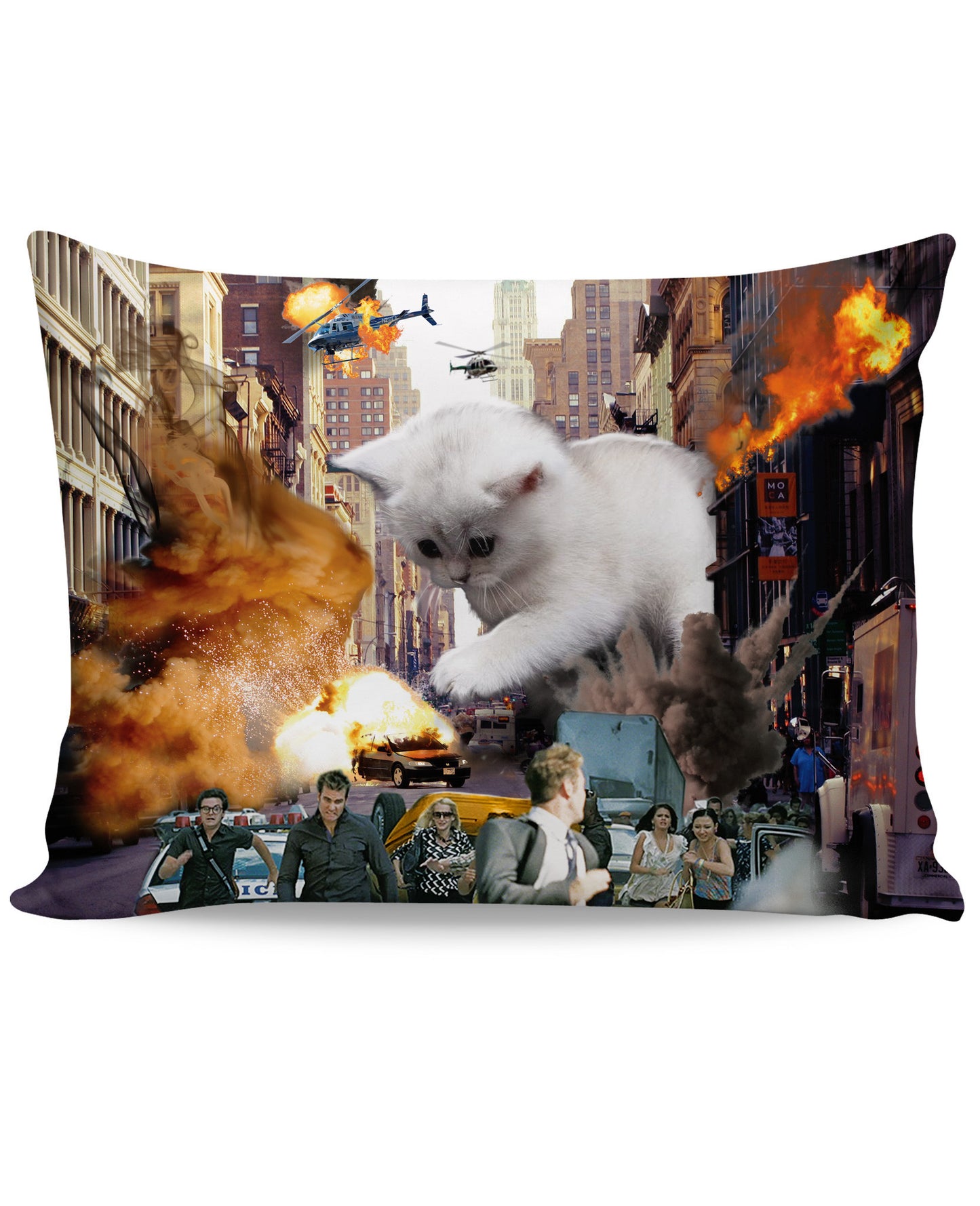 Rampage Cat Pillow Case