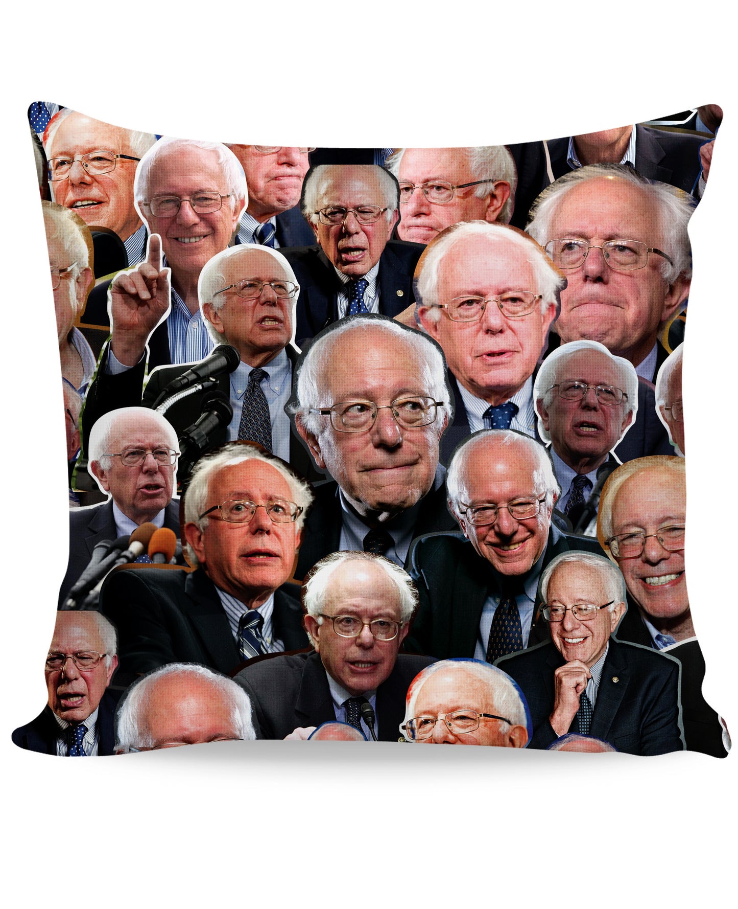 Bernie Sanders Paparazzi Couch Pillow