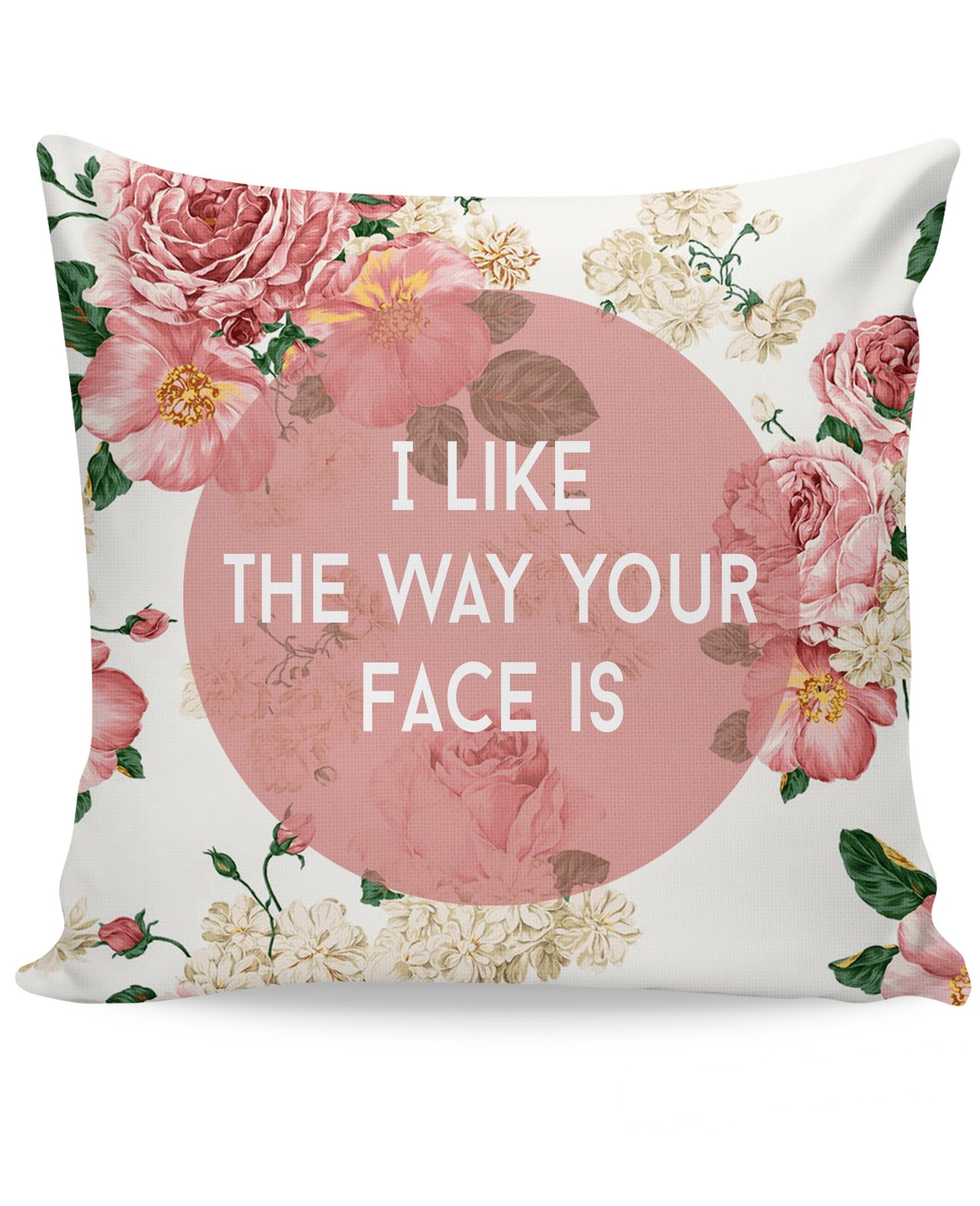I Like The Way Your Face Is Couch Pillow