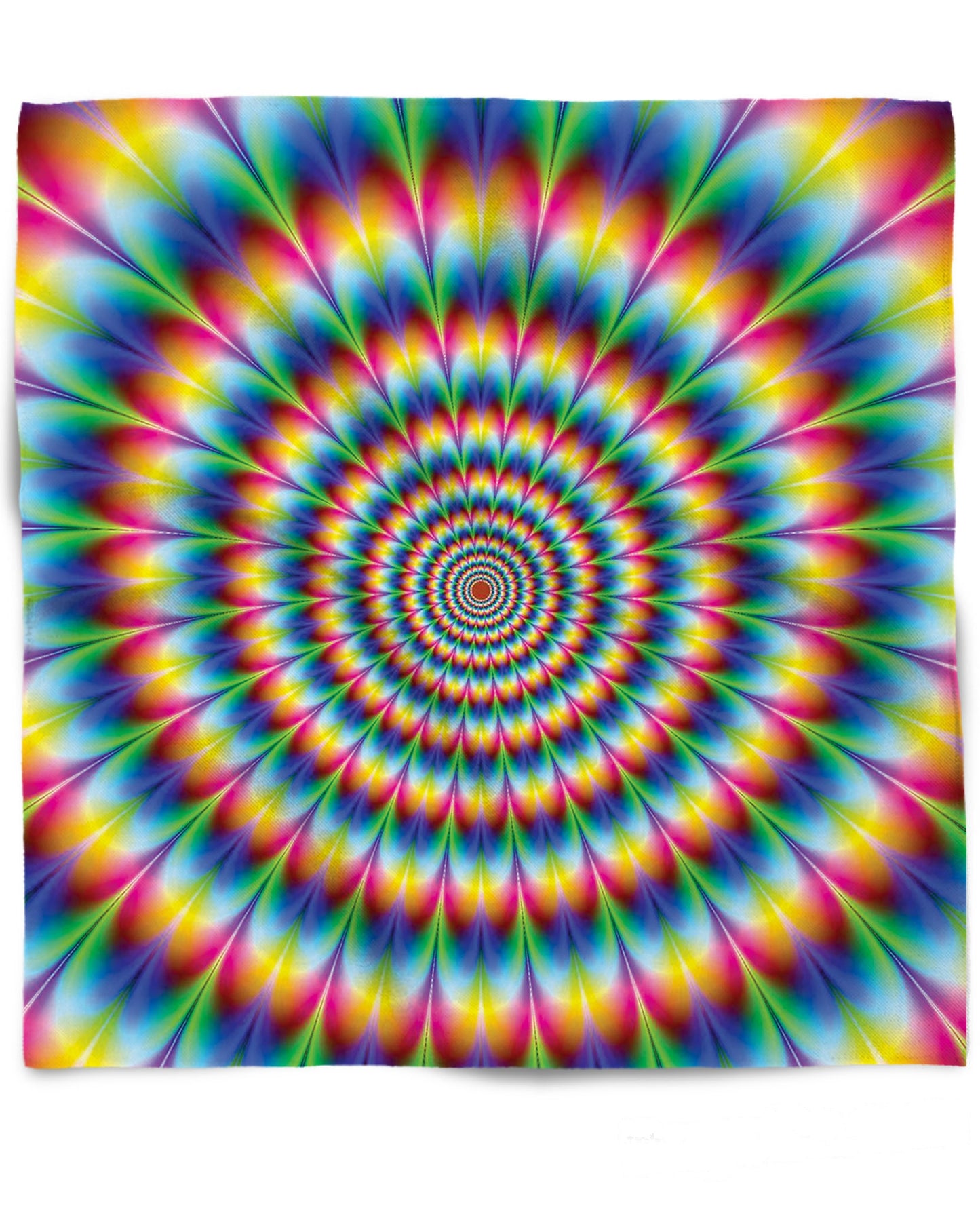 Into the Rainbow Bandana