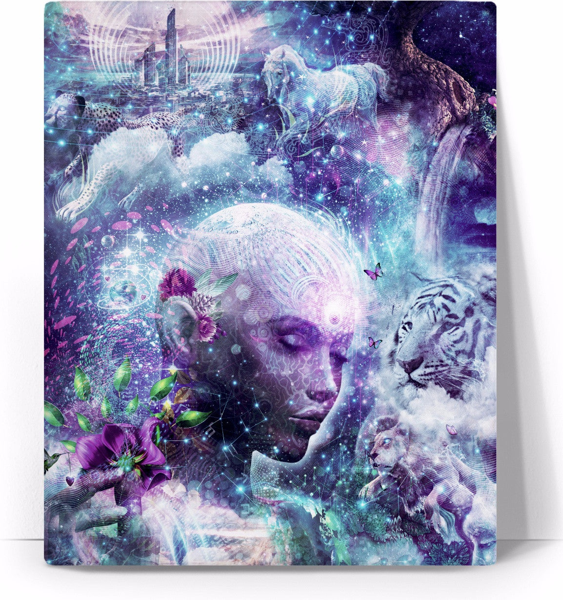 Discovering The Cosmic Consciousness - Canvas Art Print