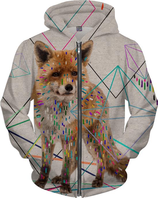 PATHS Hoodie