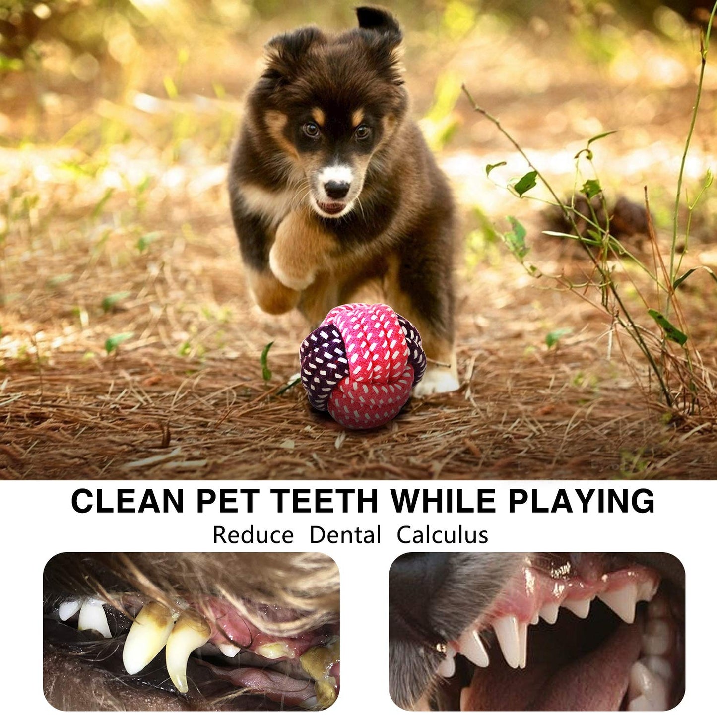 12 Pack Dog Chew Toys Cat Dog Training Toy Set For Medium To Small Doggie Gift