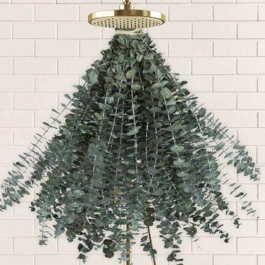 40 PCS Real Dried Eucalyptus Branches Decorative Natural Fresh Eucalyptus Plant for Shower Hanging Decor