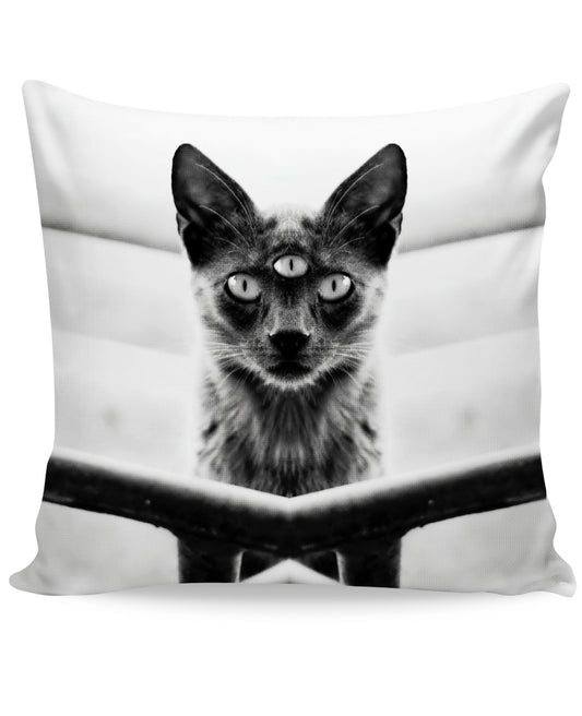 Third Eyed Cat Couch Pillow