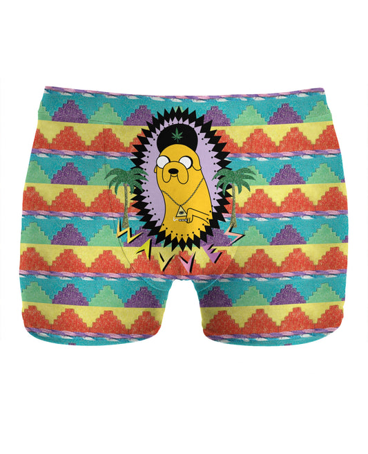 Adventure Waves Underwear