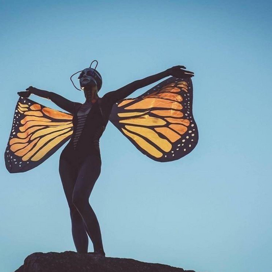 Fairy Butterfly Wings
