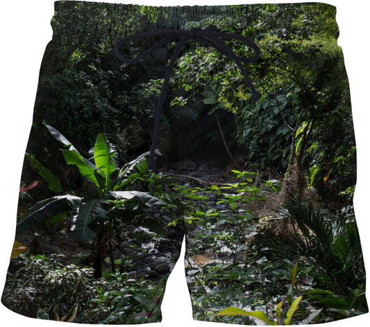 Caribbean Jungle Swim Shorts